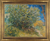 Framed Art Print A Bush by Vincent Van Gogh